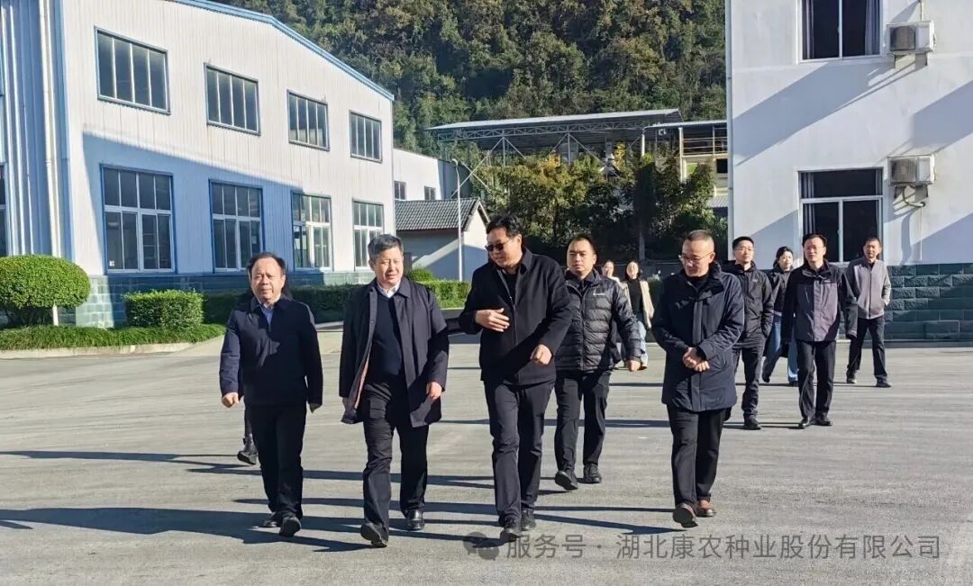 省粮食局局长易俊东一行莅临918博天堂种业调研指导