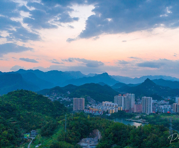 Witness-Kang Nong Chinese Medicinal Materials