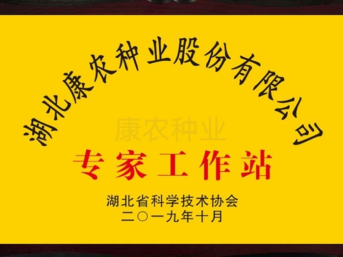 Hubei Kangnong Seed Industry Co., Ltd. Expert Workstation