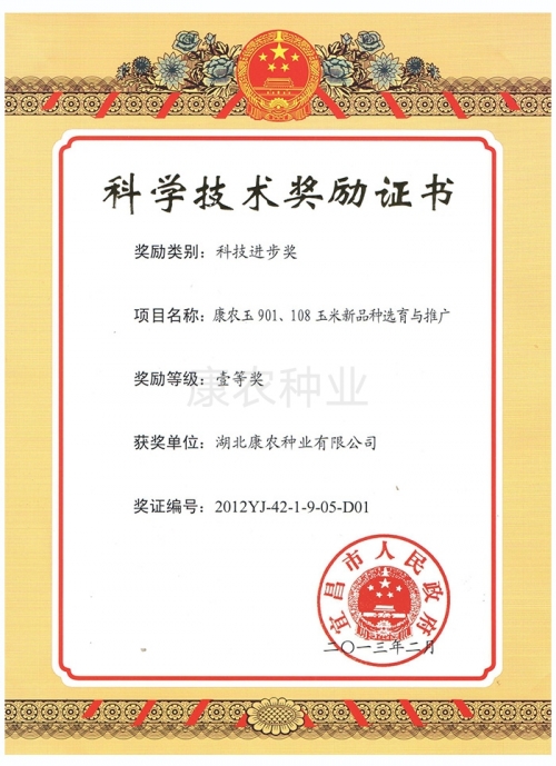 First Prize of Science and Technology Progress