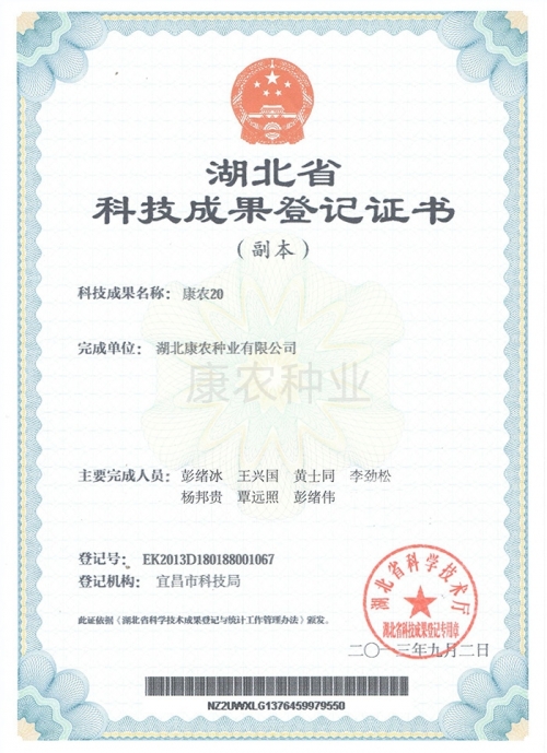 Connong 20 [Registration Certificate]