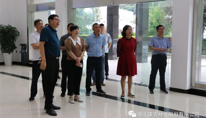 Liu Yan, vice chairman of Baokang County CPPCC, and his delegation visited kangnong seed industry for investigation and guidance